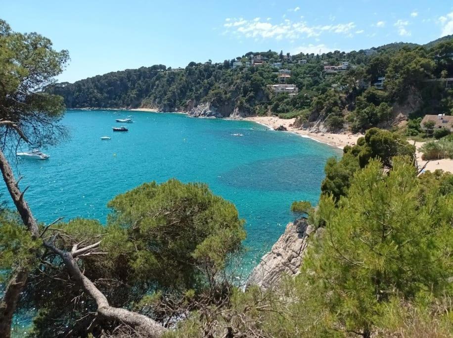 La Calma De Tossa Leilighet Girona Eksteriør bilde