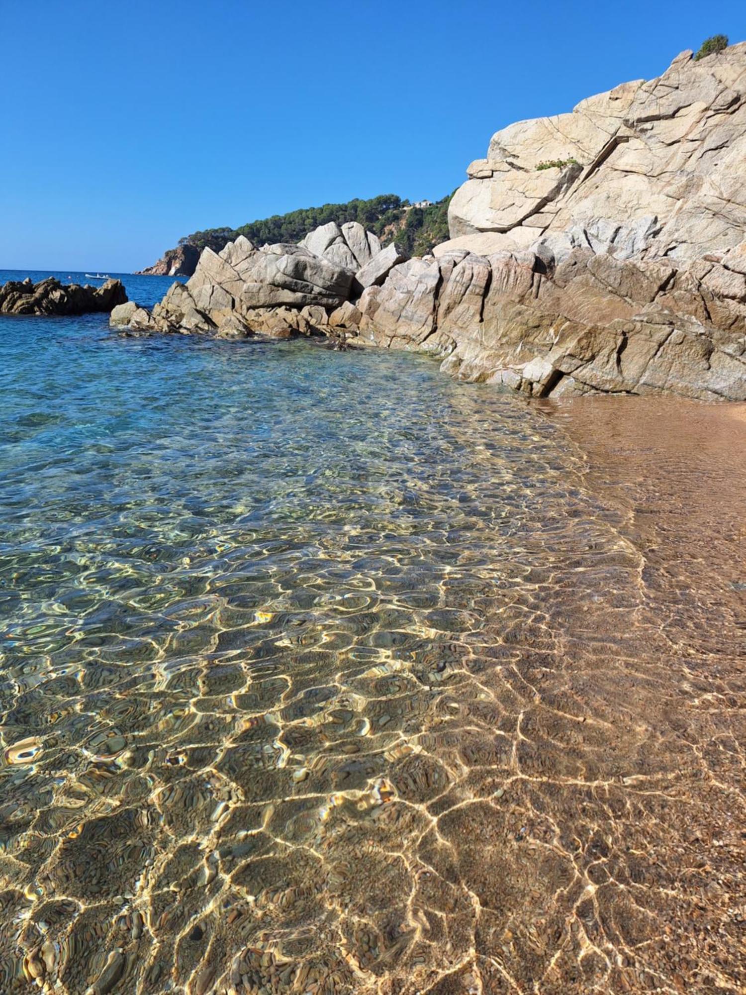 La Calma De Tossa Leilighet Girona Eksteriør bilde